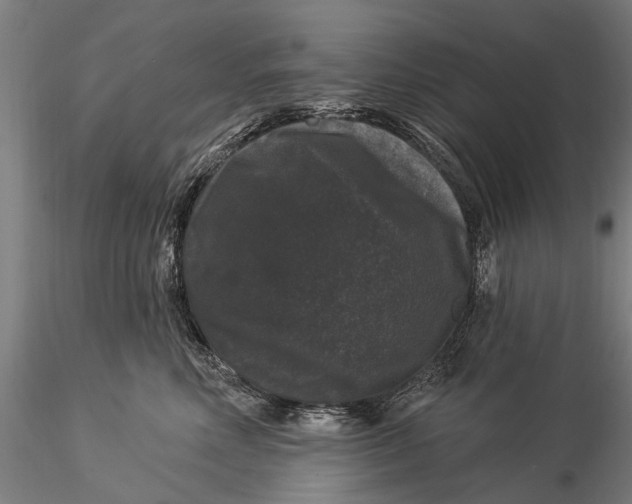 X0000116010618200912101343