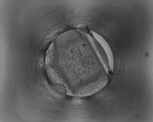 X0000116010620200912101343