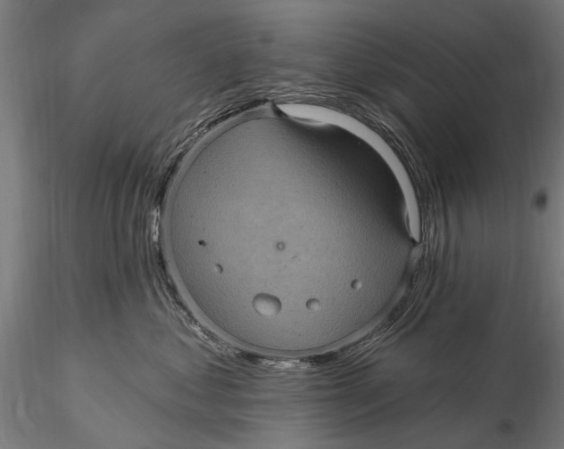 X0000116010621200912101343