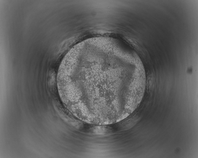 X0000116010623200912101343