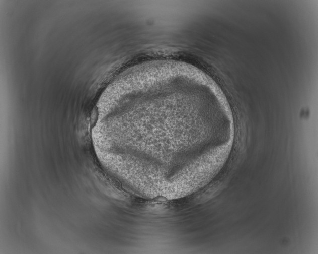 X0000116010624200912101343