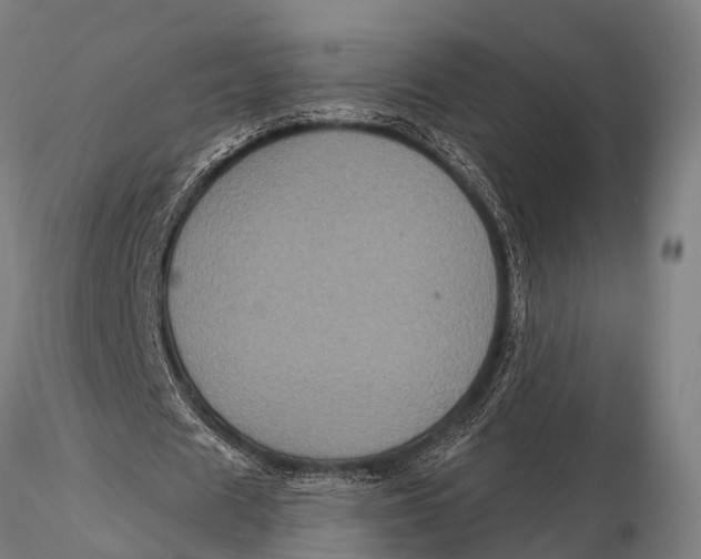 X0000116010625200912101342