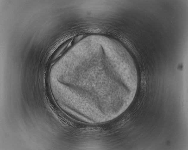 X0000116010626200912101342