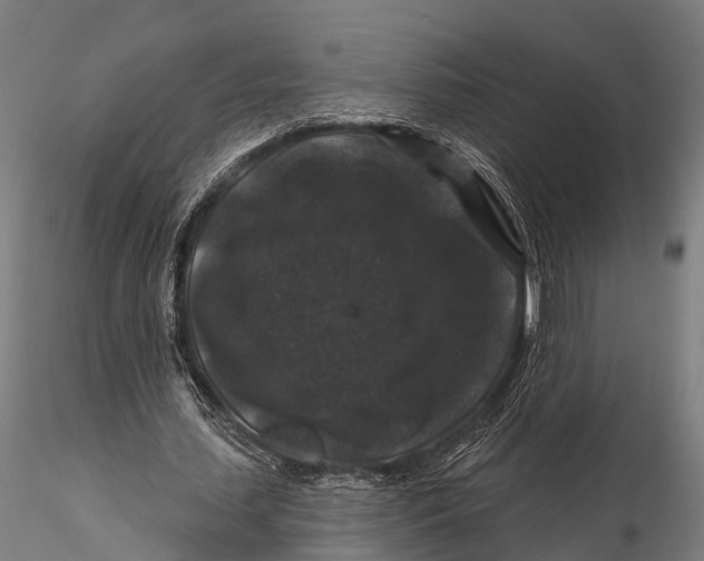 X0000116010627200912101342