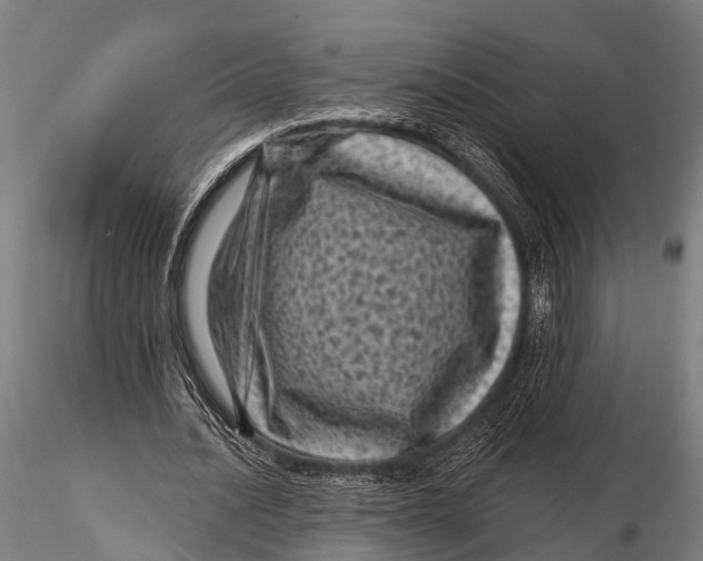 X0000116010628200912101342