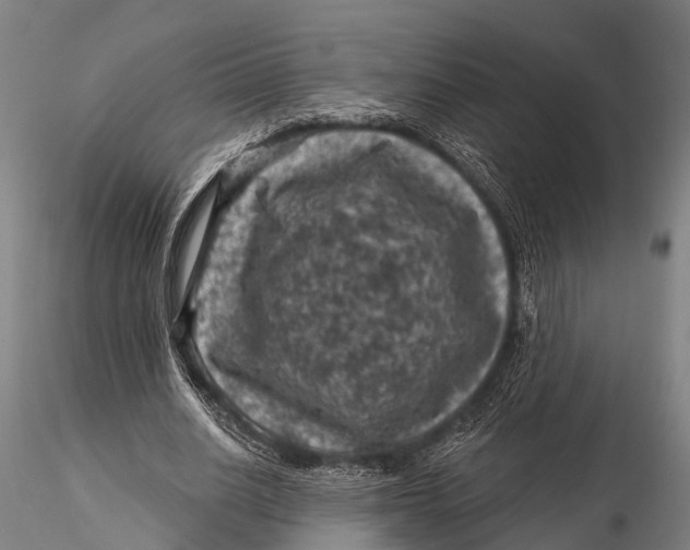 X0000116010630200912101342