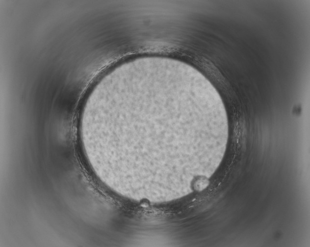 X0000116010632200912101342