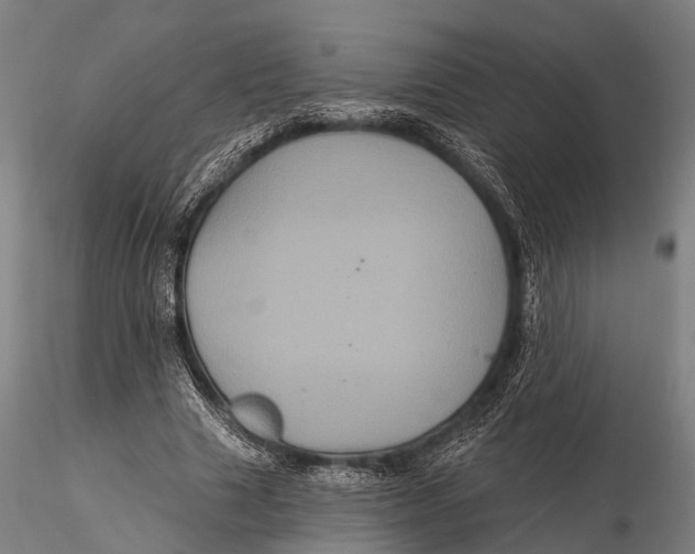 X0000116010633200912101342