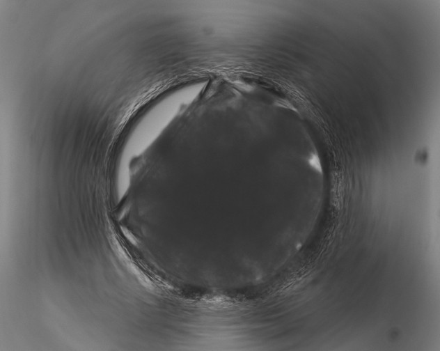 X0000116010634200912101342