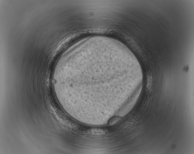 X0000116010636200912101342