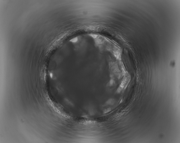 X0000116010637200912101342