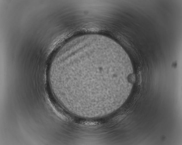 X0000116010638200912101342