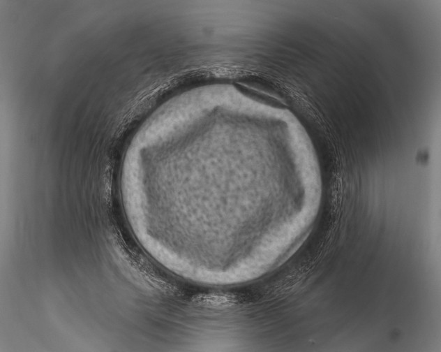 X0000116010639200912101342