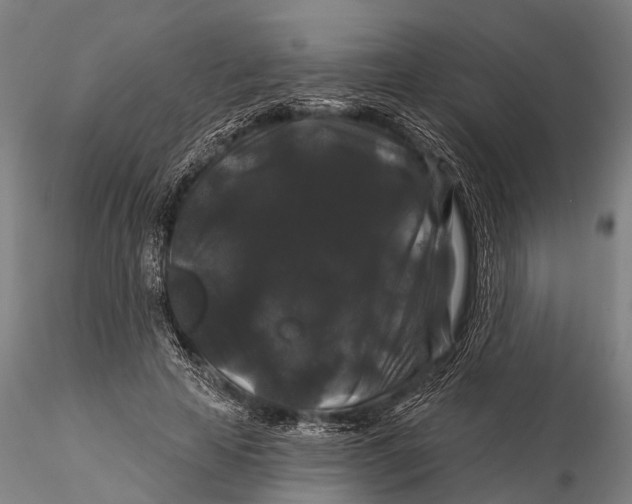 X0000116010641200912101342