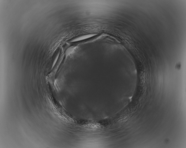 X0000116010642200912101342