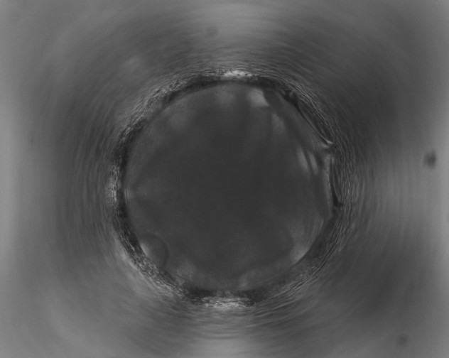 X0000116010643200912101342