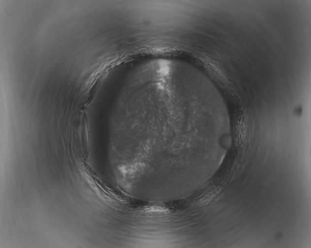 X0000116010644200912101342