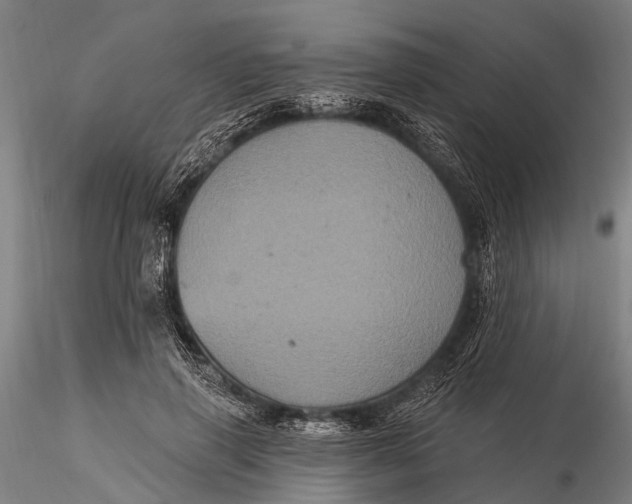 X0000116010645200912101342