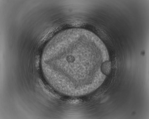 X0000116010646200912101342