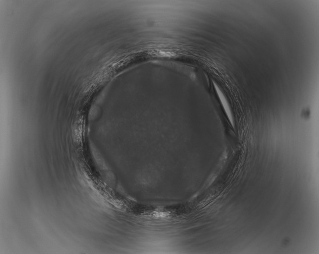 X0000116010647200912101342