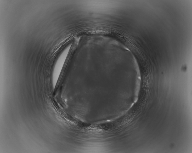 X0000116010648200912101342