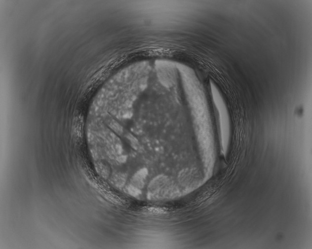 X0000116010649200912101342