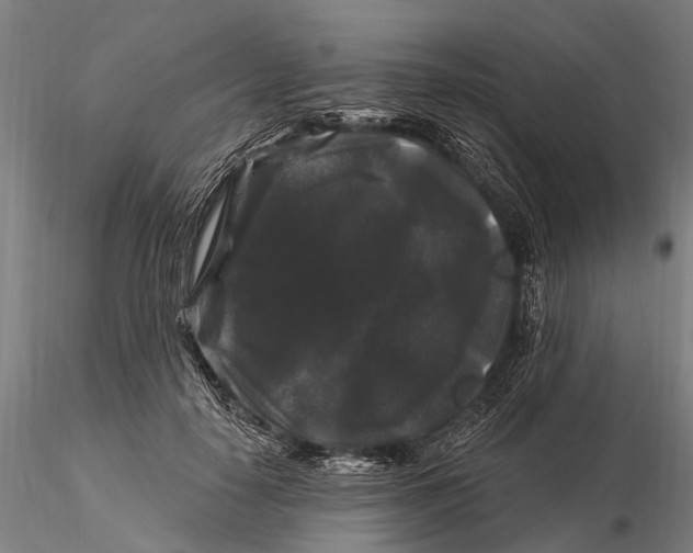 X0000116010650200912101342