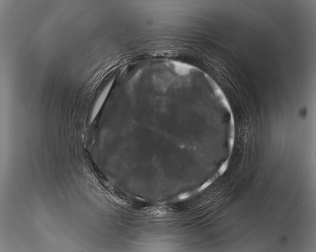 X0000116010652200912101342