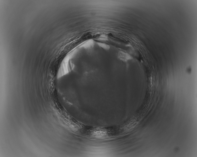 X0000116010653200912101342