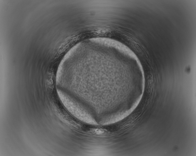 X0000116010654200912101342