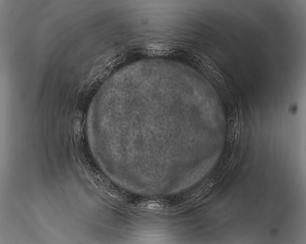 X0000116010655200912101342