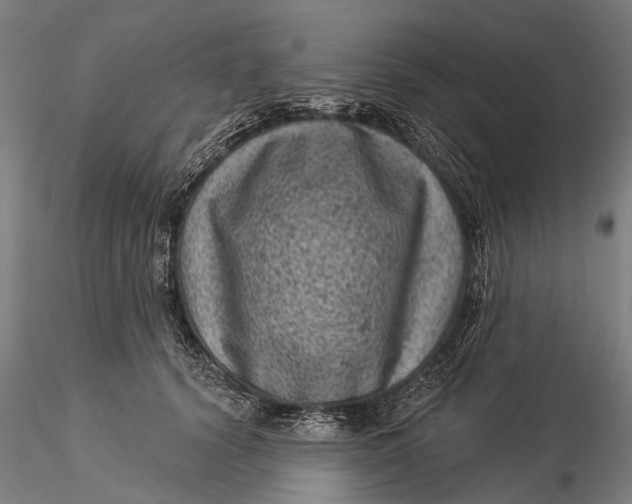 X0000116010656200912101342