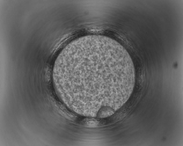 X0000116010658200912101342