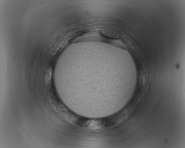 X0000116010660200912101343