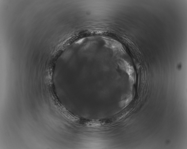 X0000116010661200912101343