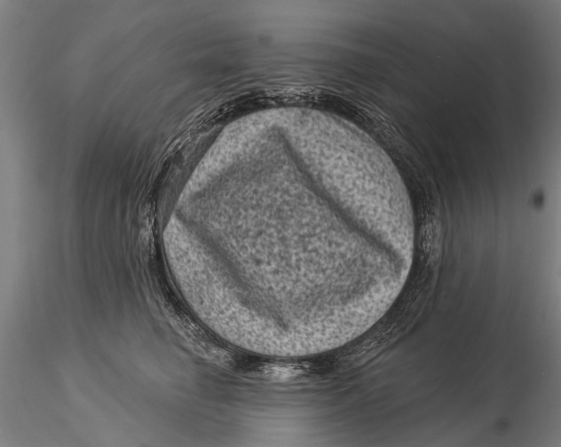 X0000116010662200912101343