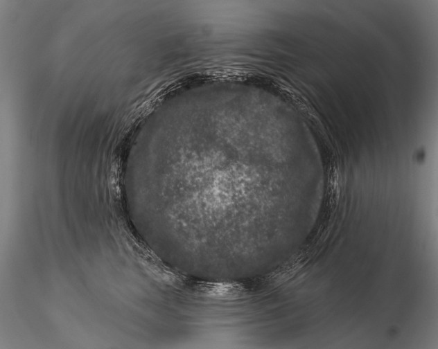 X0000116010663200912101343