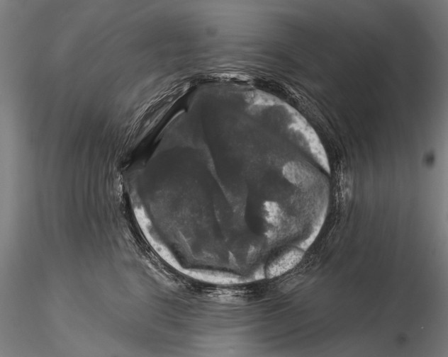 X0000116010664200912101343