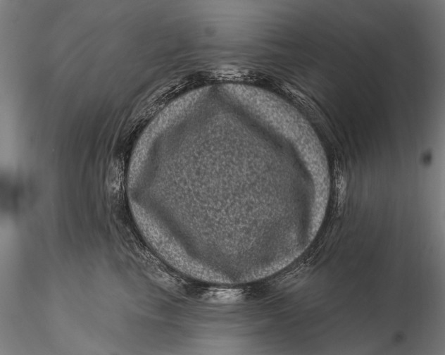 X0000116010665200912101343