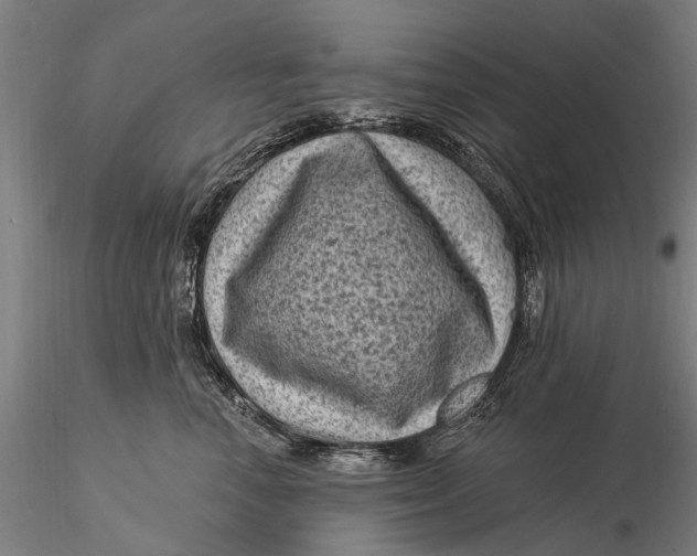 X0000116010666200912101343