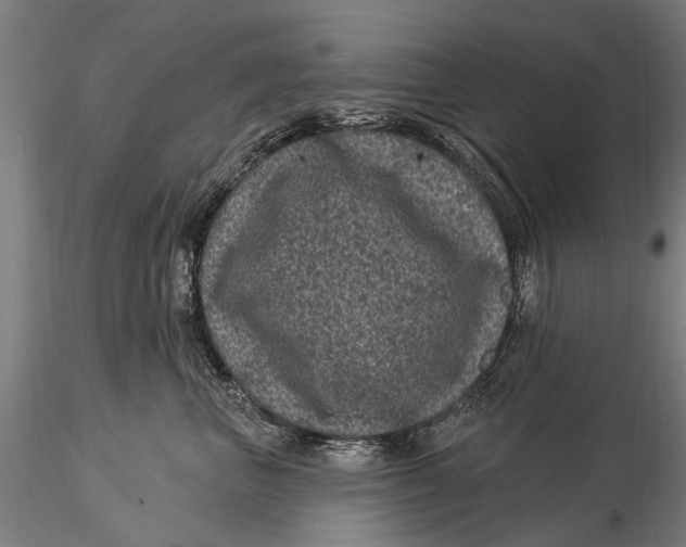 X0000116010667200912101343