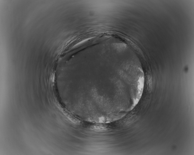 X0000116010668200912101343