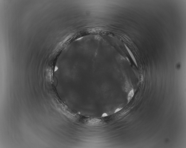 X0000116010669200912101343