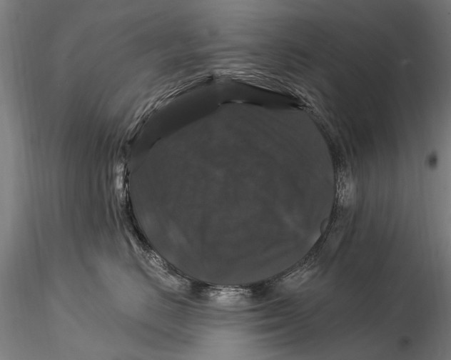 X0000116010670200912101343