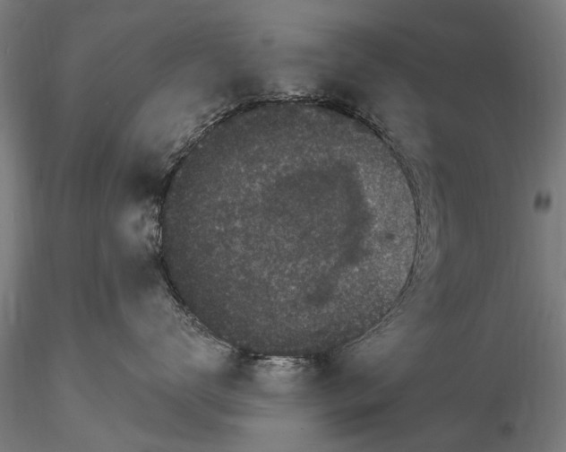 X0000116010672200912101343