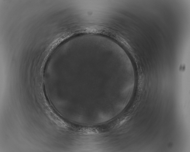 X0000116010673200912101342