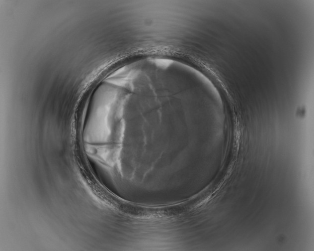 X0000116010674200912101342