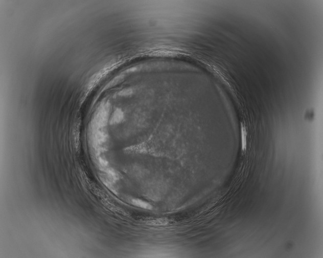 X0000116010675200912101342