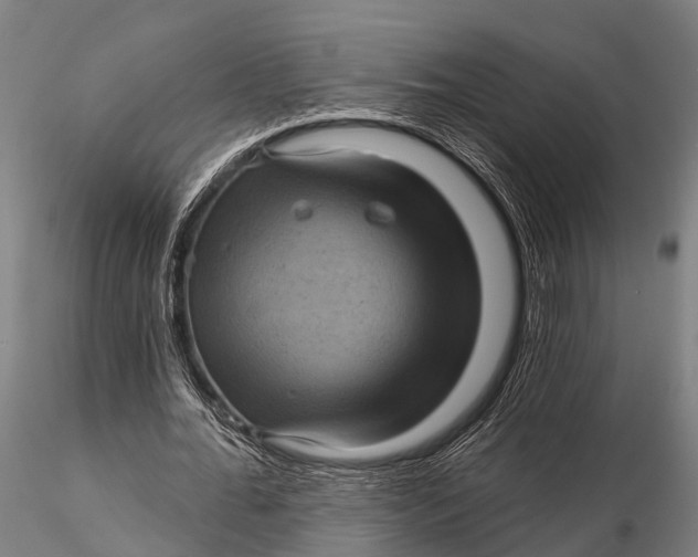 X0000116010676200912101342