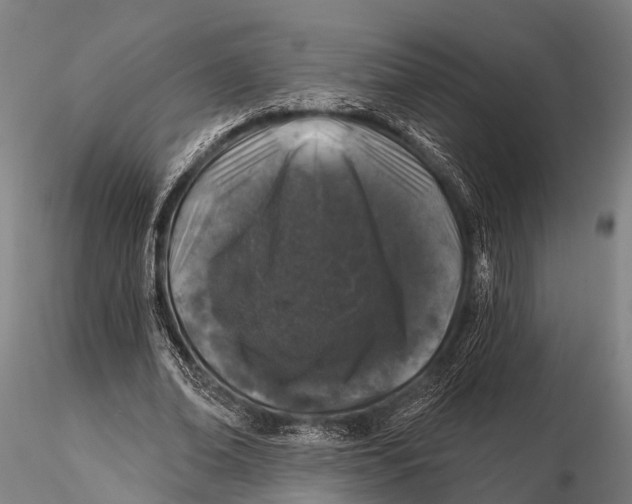 X0000116010678200912101342